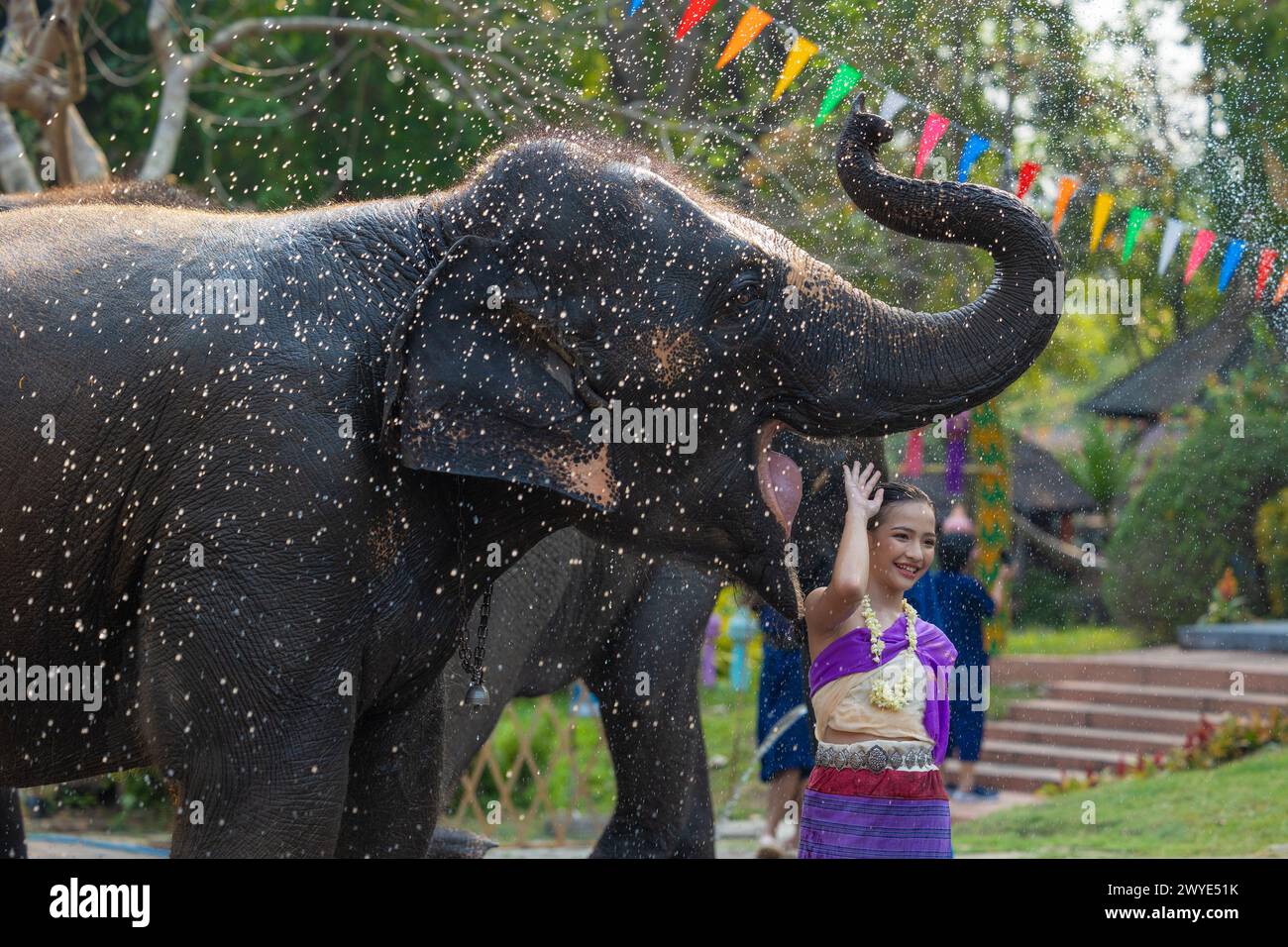 Festival di Songkran. I popoli della Thailandia del Nord indossano abiti tradizionali che spruzzano acqua insieme nel festival culturale di Songkran con elefante. Foto Stock