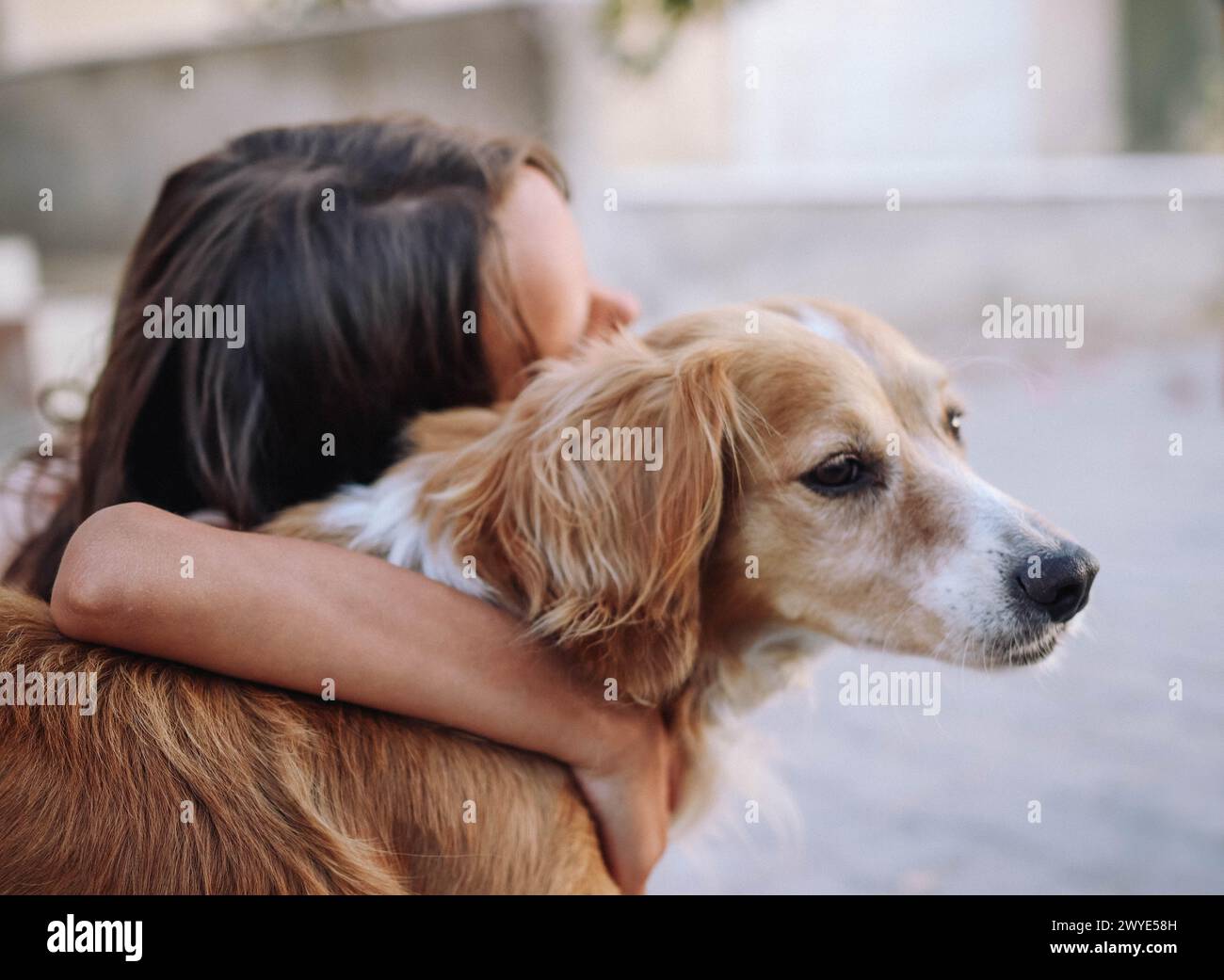 Una ragazza e la sua migliore amica Foto Stock