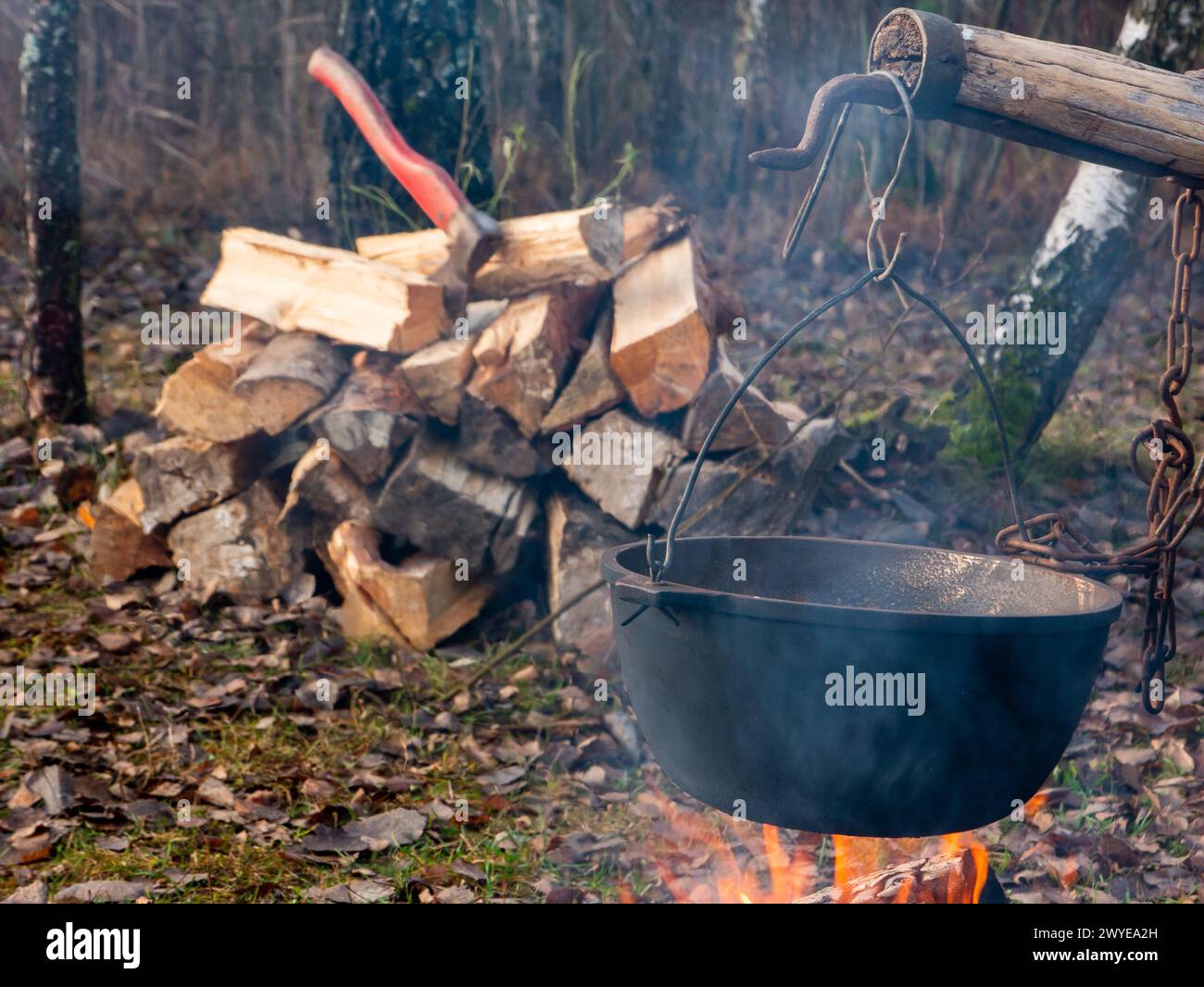 Picnic nel bosco su un fuoco aperto. Cucina pilaf con caminetto all'aperto. Erba da trekking, Bowler nel falò. la zuppa fa bollire in calderone sul rogo. Foto Stock