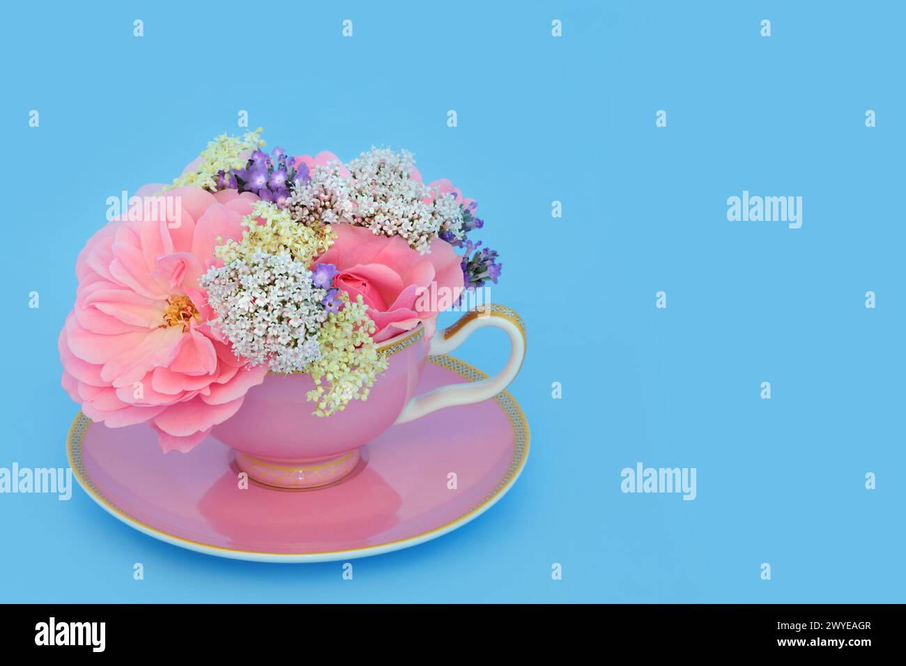 Rosa surreale, valeriana, lavanda e fiori anziani in tazza da tè su blu. Cibo divertente disposizione a base di erbe. Proprietà di rilassamento dell'adattogeno. Foto Stock