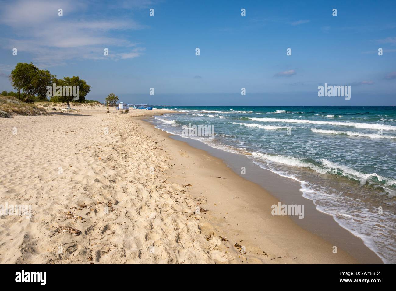 Spiaggia di Marmari con sabbia dorata, acque color smeraldo, la migliore spiaggia di Kos. Dodecaneso, Grecia Foto Stock