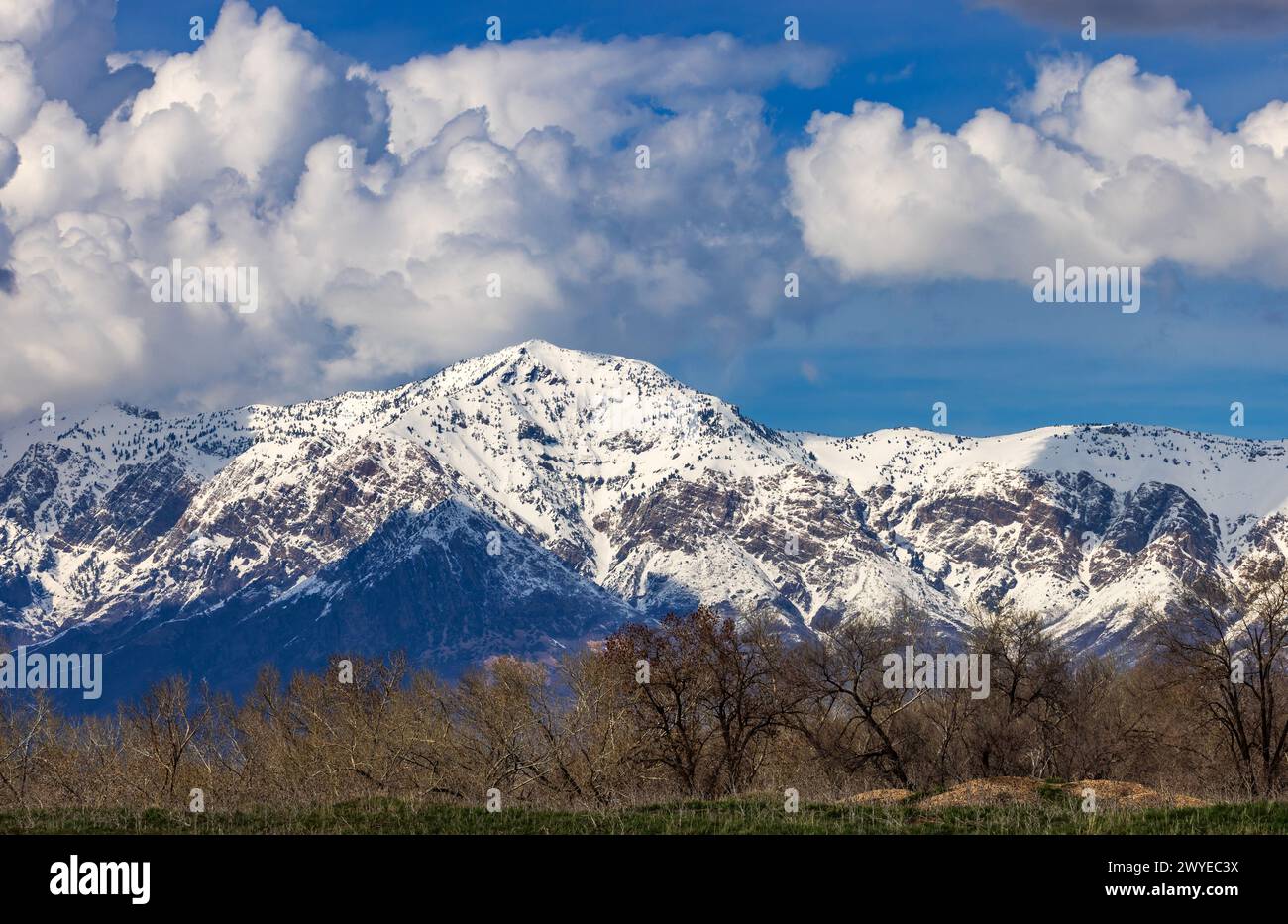 Le nuvole si estendono sul Ben Lomond Peak innevato all'estremità nord di Ogden, Weber County, Utah, USA. Foto Stock