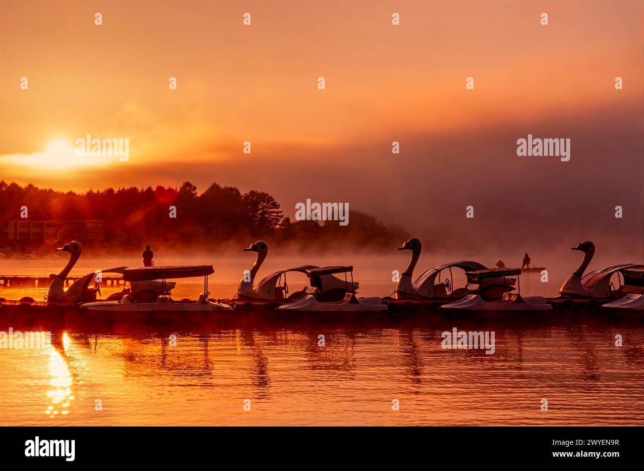 Alba sul lago Kawaguchi, Giappone, con barche a pedali a cigno in primo piano Foto Stock
