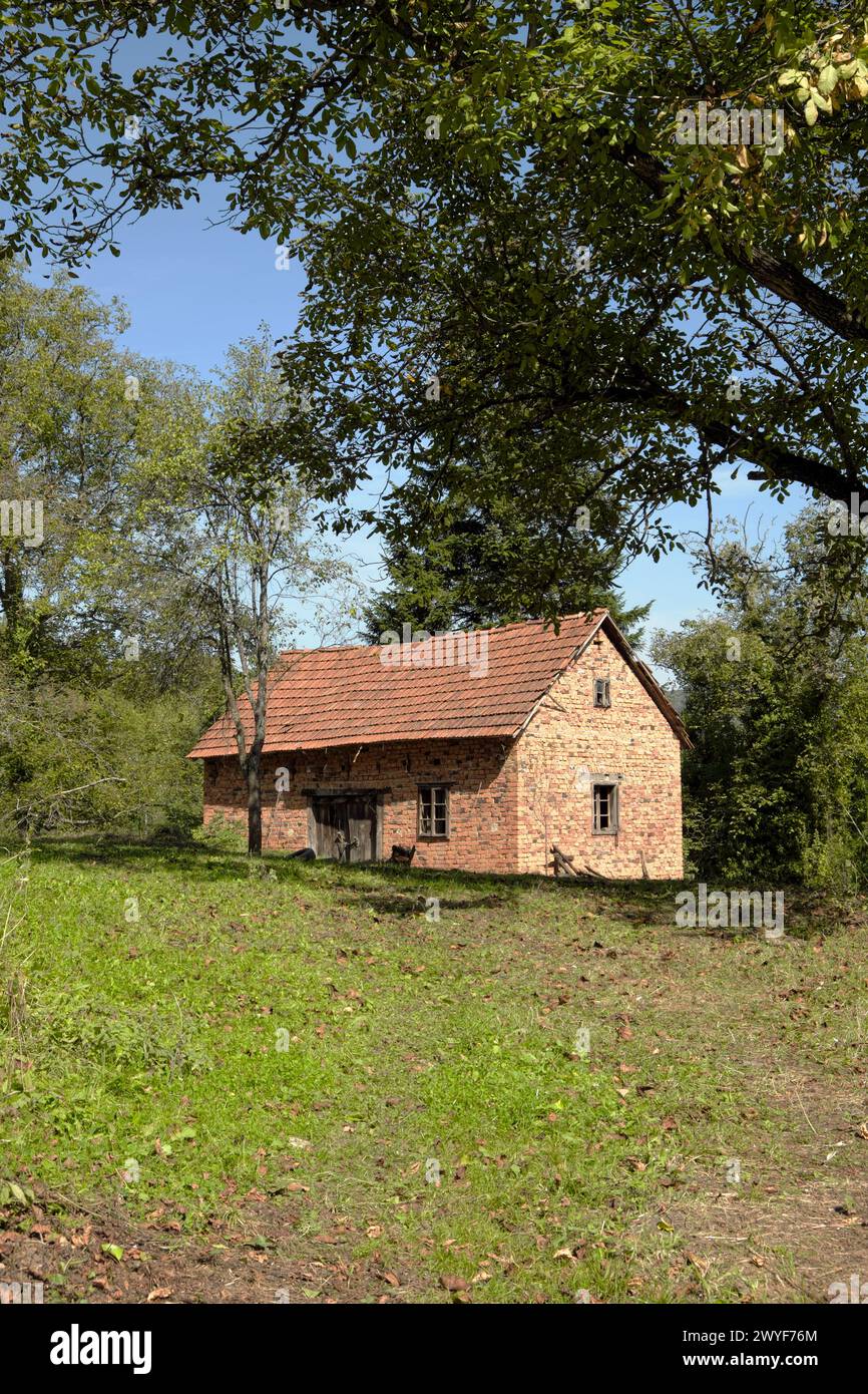 Pareti in mattoni rossi di un edificio agricolo abbandonato nella Serbia centrale occidentale Foto Stock