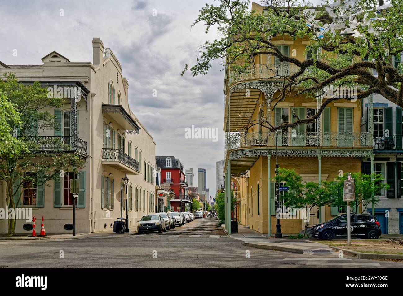 Vista di Esplanade Avenue e Chartres Street in una mattinata tranquilla a New Orleans, Louisiana Foto Stock