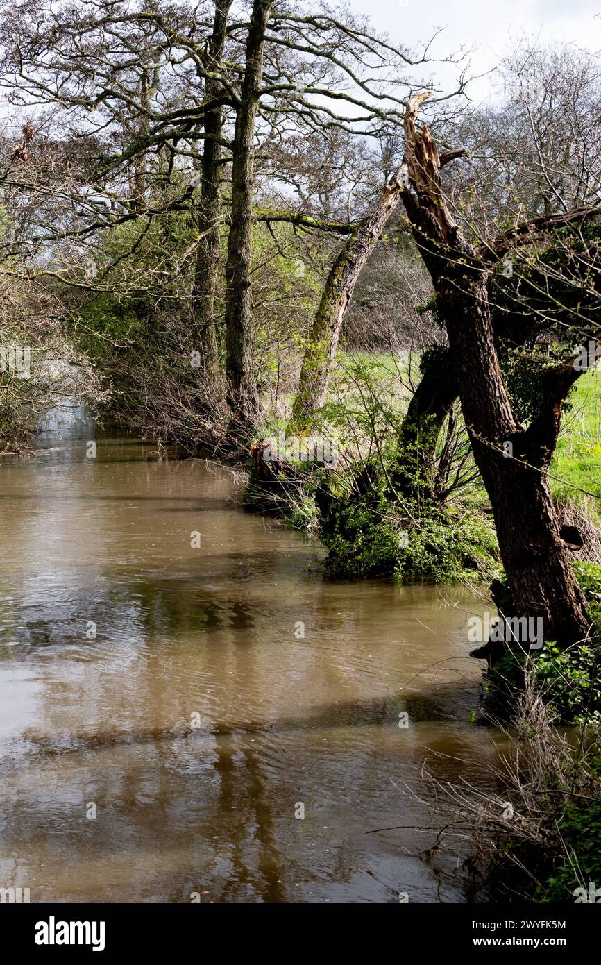 River Blythe, Widney Manor, West Midlands, Inghilterra, Regno Unito Foto Stock