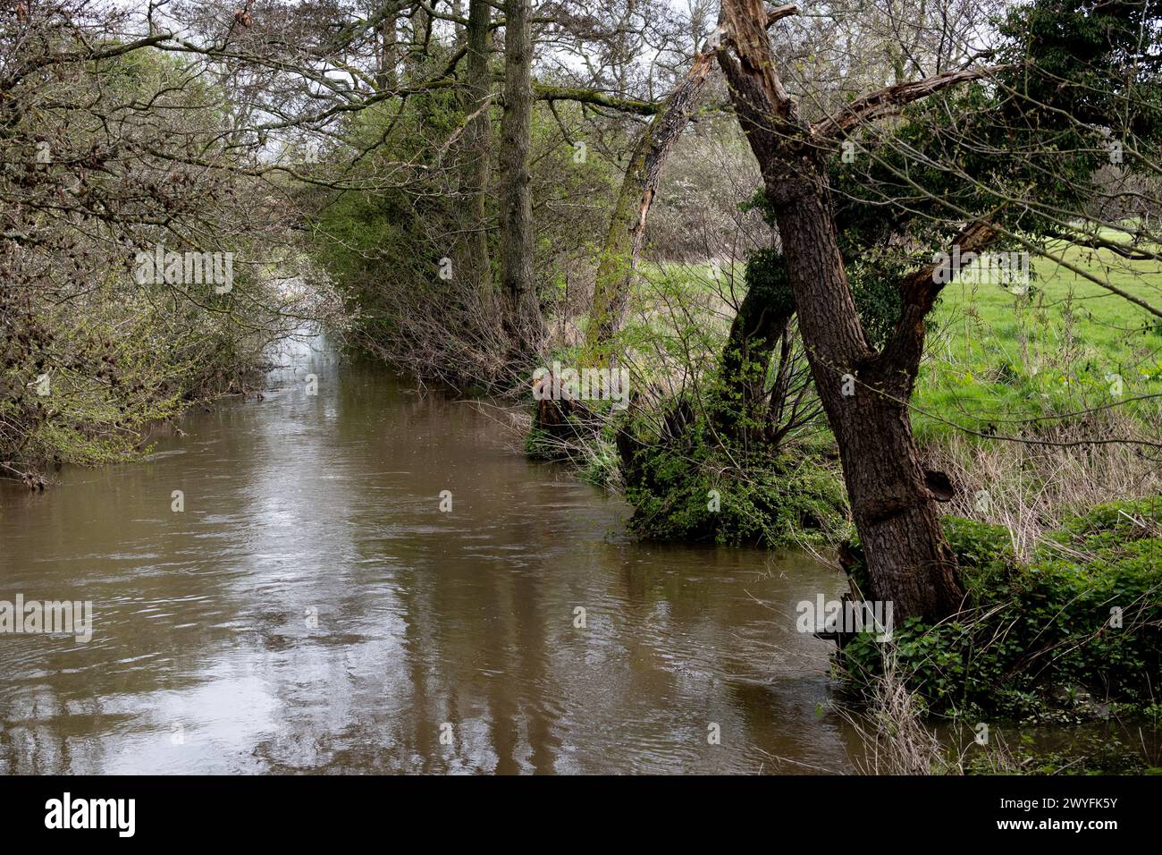 River Blythe, Widney Manor, West Midlands, Inghilterra, Regno Unito Foto Stock