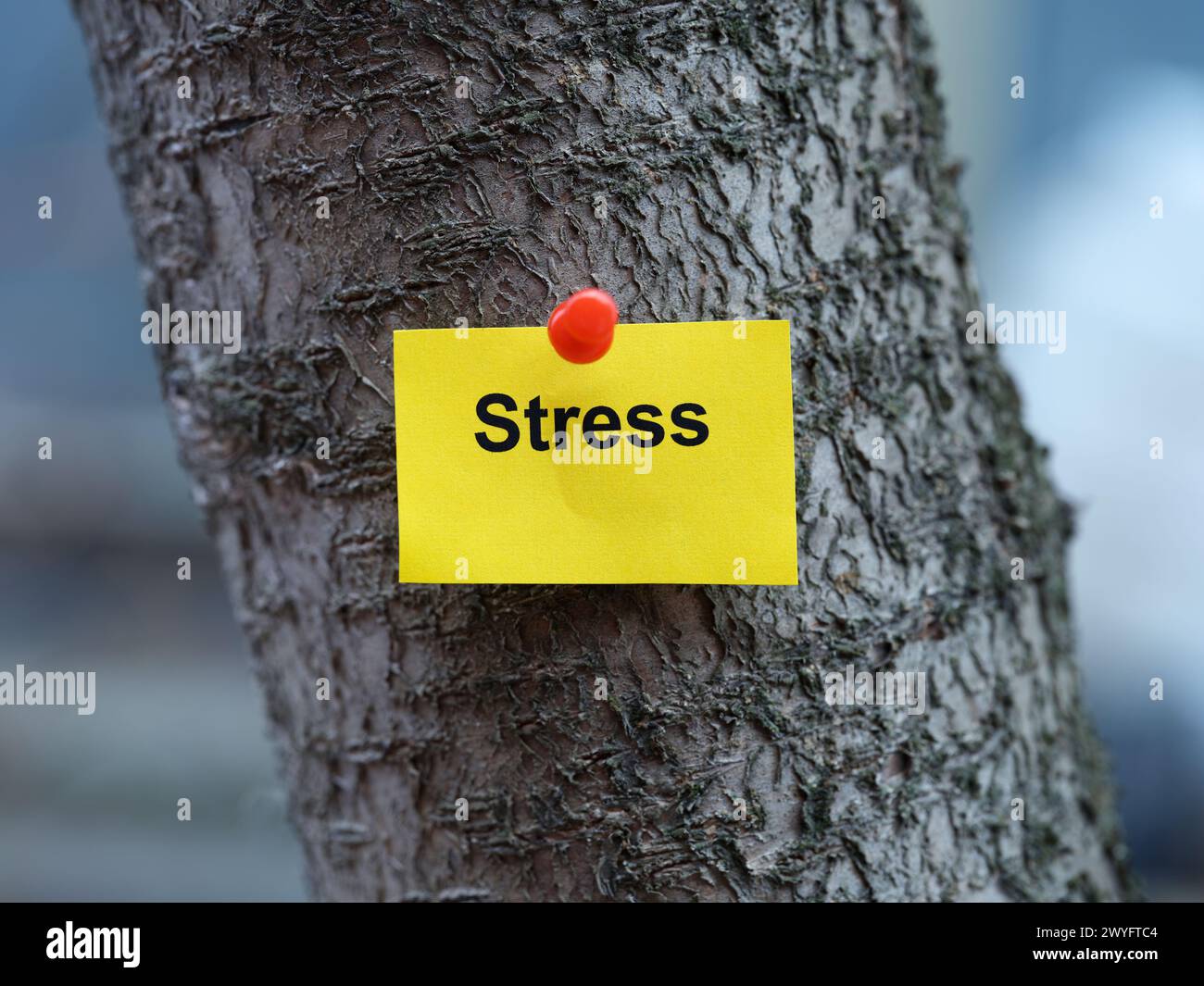 Una nota di carta gialla con la parola "stress" fissata ad un albero. Primo piano. Foto Stock