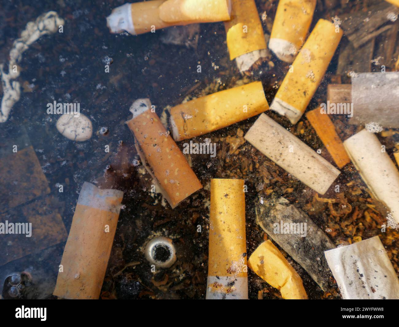 Mozziconi di sigaretta sul fondo del serbatoio dell'acqua. Stili di vita lettieri e malsani Foto Stock