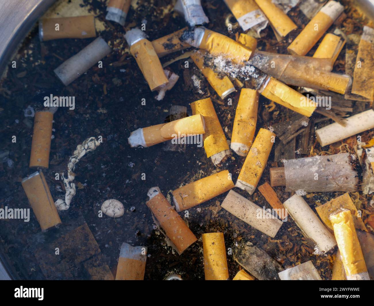 Mozziconi di sigaretta sul fondo del serbatoio dell'acqua. Stili di vita lettieri e malsani Foto Stock