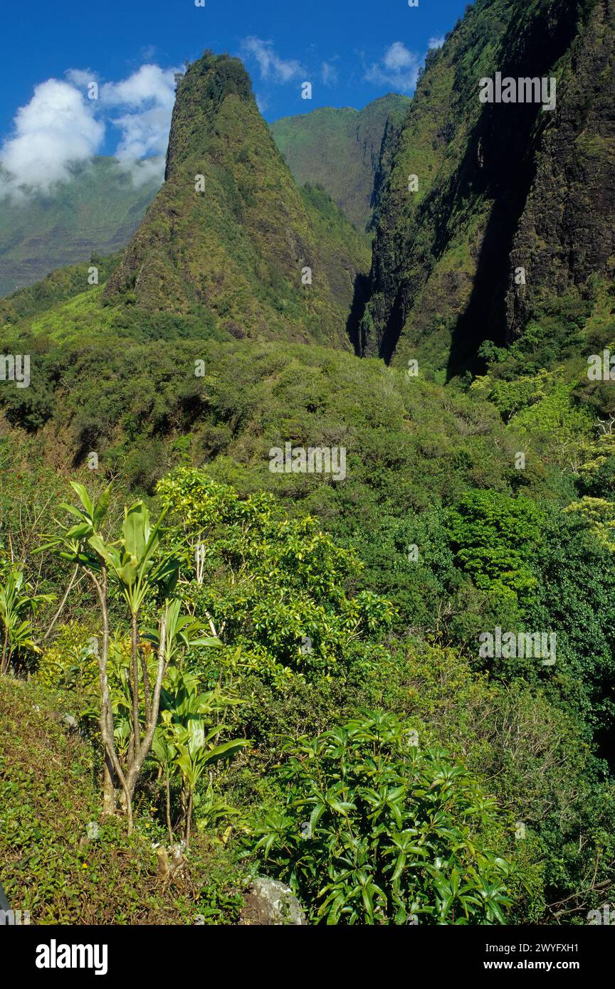 Maui, Hawaii, U.S.A. - 'Iao Needle. Foto Stock