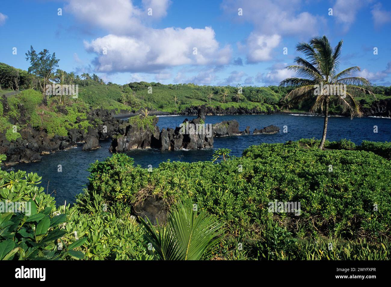 Maui, Hawaii, Stati Uniti - Parco statale Wai'anapanapa, insenatura dell'oceano, spiaggia, roccia vulcanica nera Foto Stock