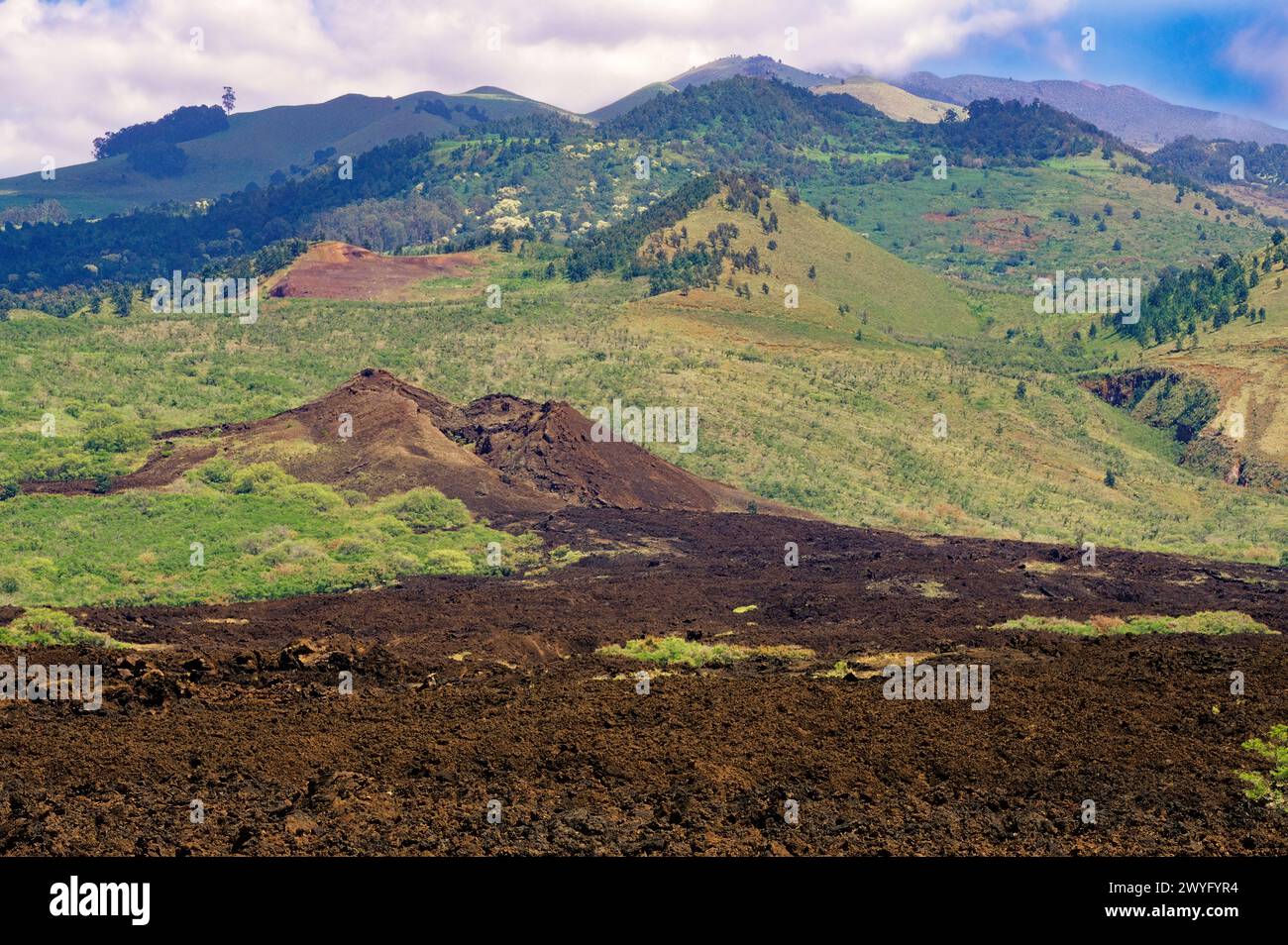 Maui, Hawaii, Stati Uniti - ultima eruzione vulcanica, 1790, PU'u Ola'i, Maui sud-ovest. Foto Stock