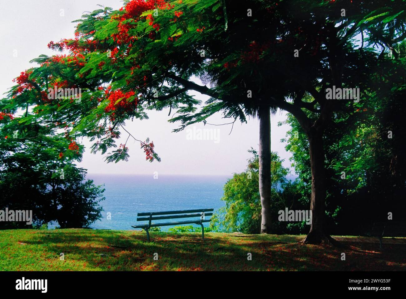 Parco Bench con vista, Borinquen Point, Porto Rico Foto Stock