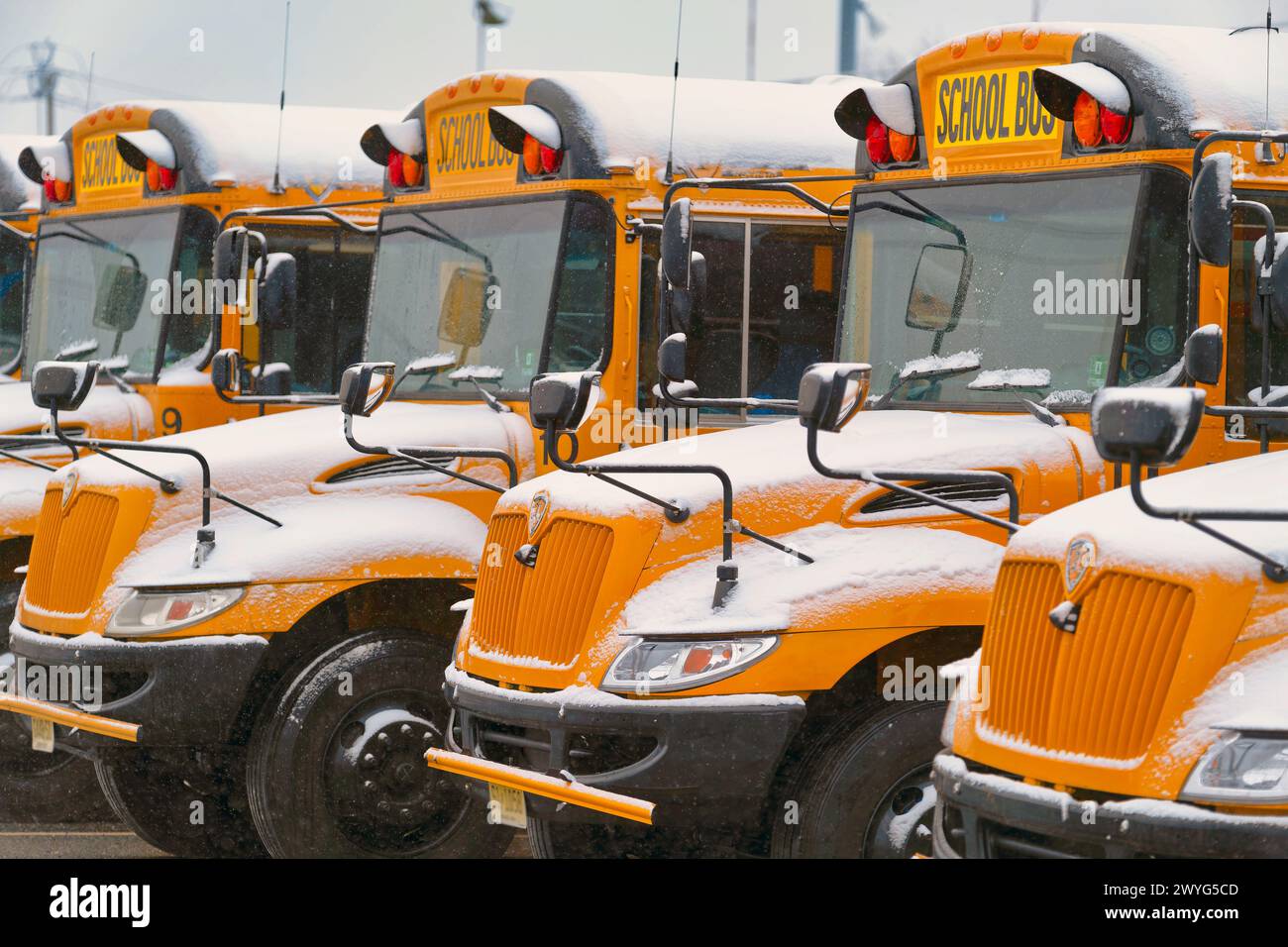 Vista ravvicinata degli autobus scolastici coperti di neve, New Jersey, Stati Uniti Foto Stock
