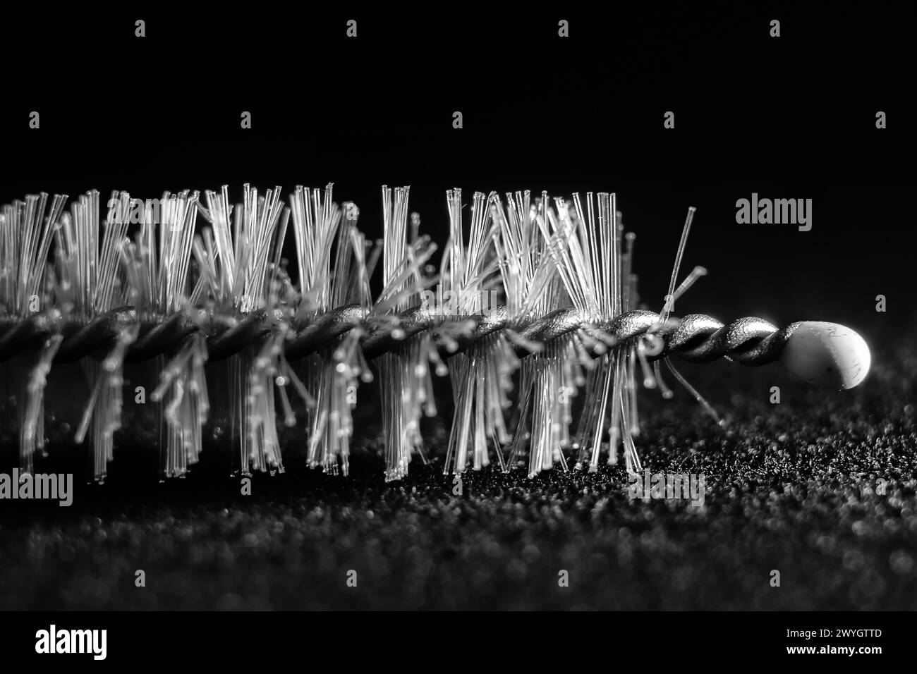 una foto in bianco e nero di una spazzola tubolare con una piuma su sfondo scuro. Fotografia di natura morta. Foto Stock