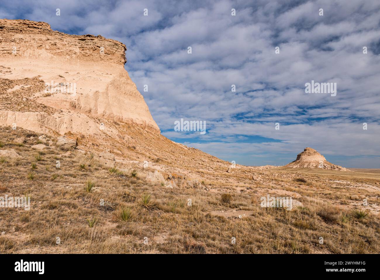 Parte di un percorso di 3 km utilizzato dai visitatori per vedere le Pawnee Buttes. Punti di riferimento spettacolari che possono essere visti da diverse angolazioni. Foto Stock