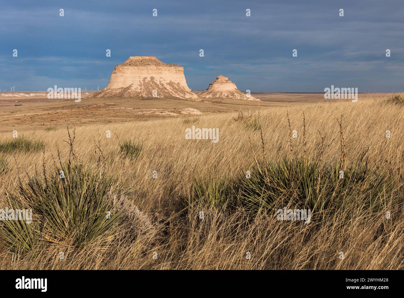 Le Pawnee Buttes, che si innalzano a 300 metri sopra la prateria di Pawnee, sono punti di riferimento geologici erosi nel nord-est del Colorado. Foto Stock