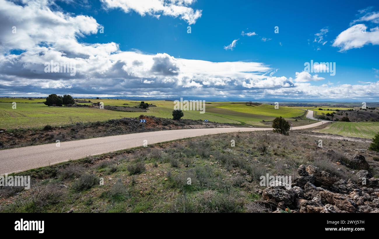 Una strada sterrata serpeggia attraverso un campo erboso sotto un cielo nuvoloso Foto Stock