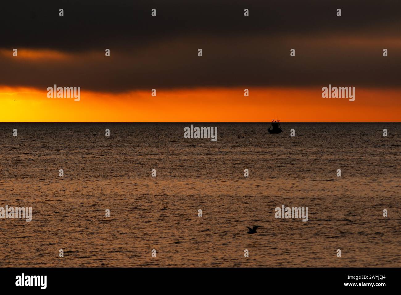 barca tradizionale, che fa le sue faccende sotto l'occhio vigile degli uccelli marini, con il sole che tramonta sullo sfondo. Foto Stock