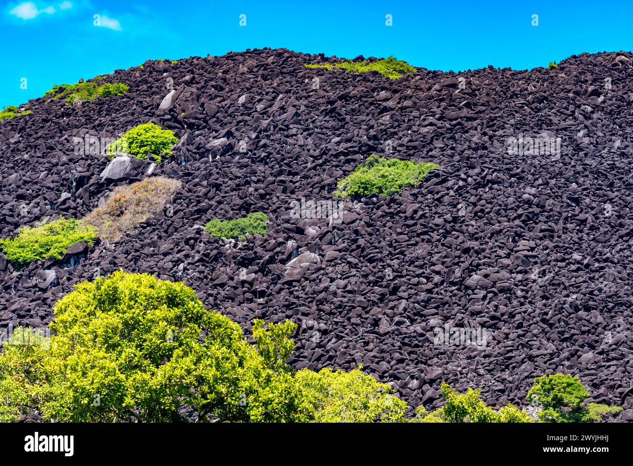 Parco nazionale Black Mountain (Kalkajaka). I massi di granito grigi sono anneriti da una pellicola di alghe microscopiche blu-verdi che crescono sulla superficie esposta Foto Stock