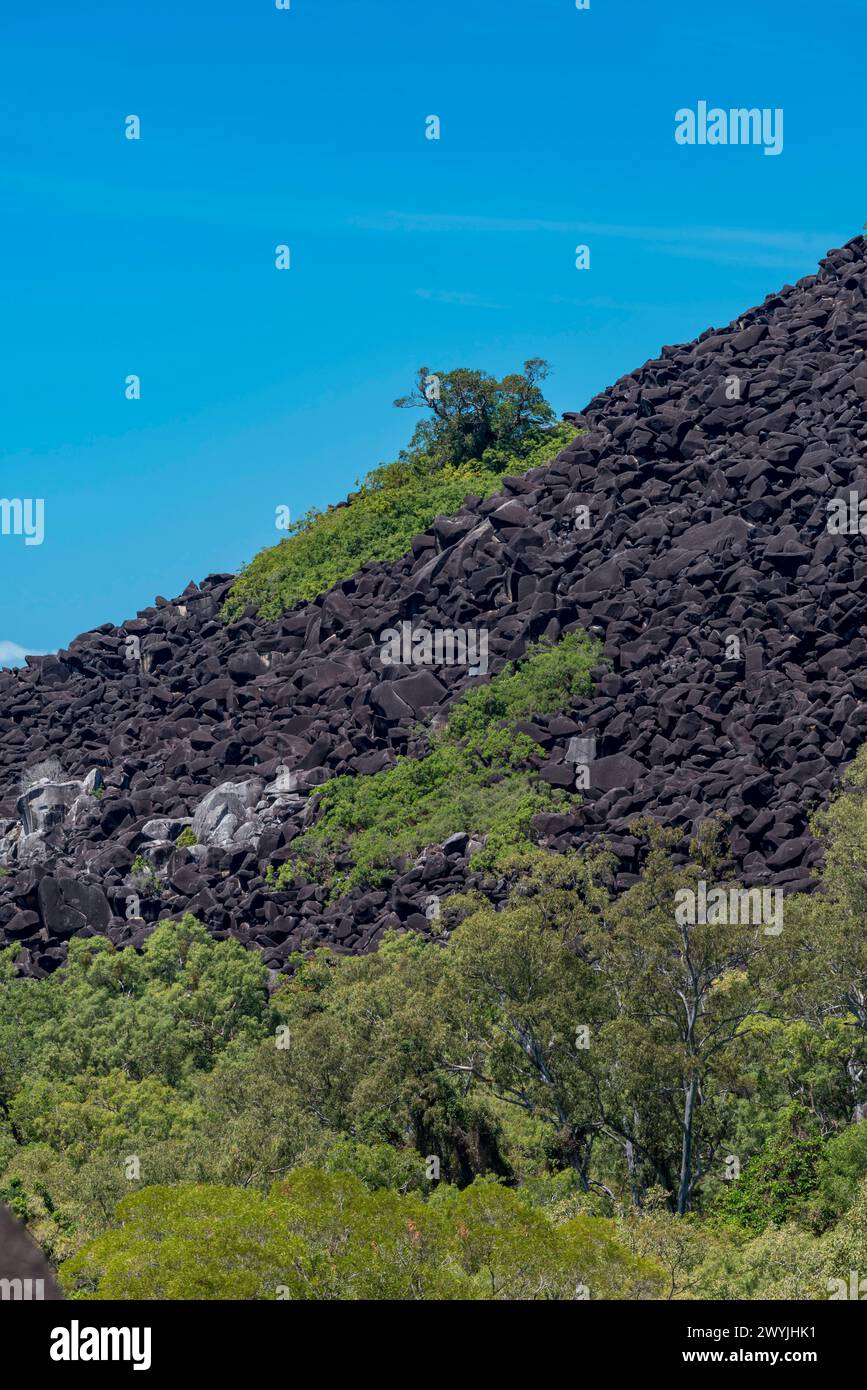 Parco nazionale Black Mountain (Kalkajaka). I massi di granito grigi sono anneriti da una pellicola di alghe microscopiche blu-verdi che crescono sulla superficie esposta Foto Stock