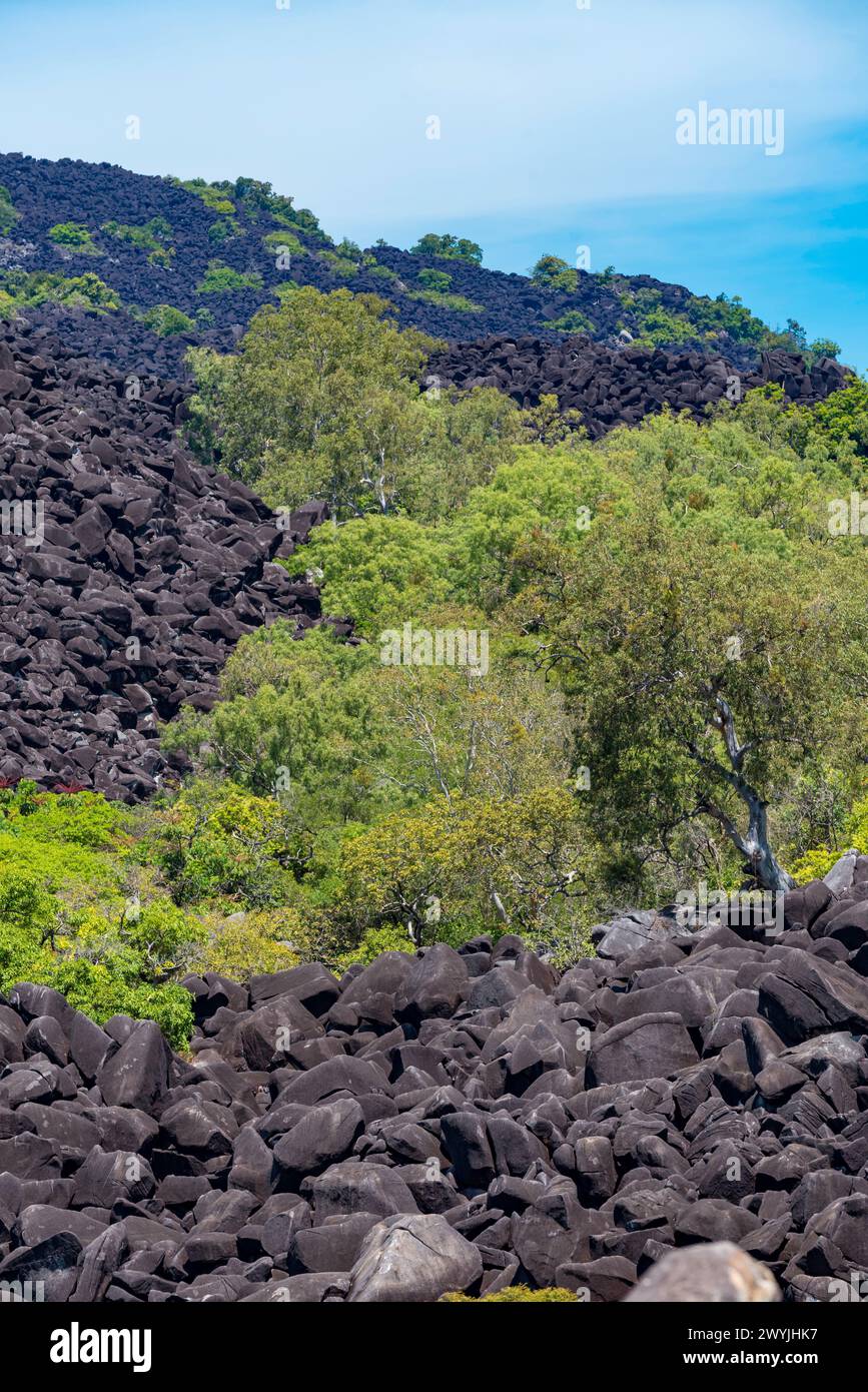 Parco nazionale Black Mountain (Kalkajaka). I massi di granito grigi sono anneriti da una pellicola di alghe microscopiche blu-verdi che crescono sulla superficie esposta Foto Stock