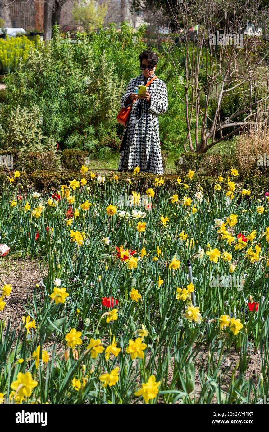 Spagna, Madrid, Real Jardin Botanico, giardino botanico Foto Stock