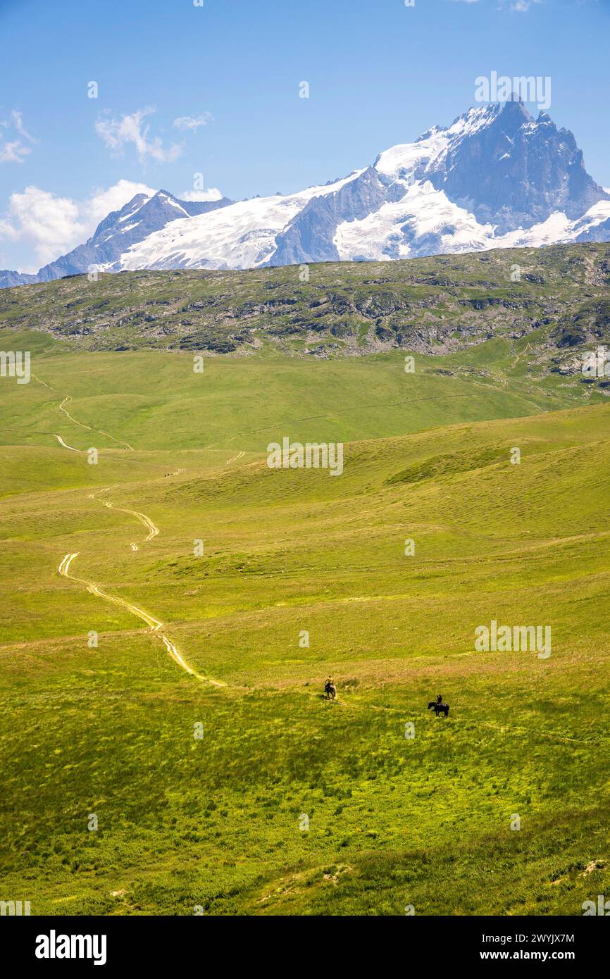 Francia, Isère, Besse-en-Oisans, valle di Oisans, valle di Ferrand, altopiano Emparis a col Saint-Georges (2245 m) sul sentiero escursionistico GR 54, ghiacciai Meije (3983 m) sullo sfondo Foto Stock