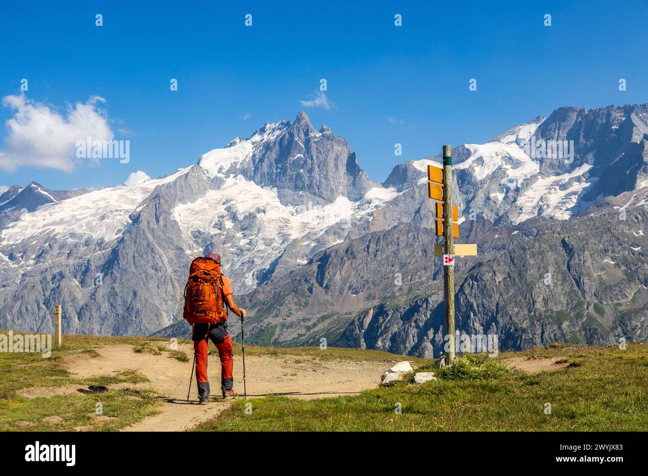 Francia, Hautes-Alpes, la grave, valle Oisans, altopiano Emparis al passo Souchet (2356 m) sul sentiero escursionistico GR 54, sullo sfondo la parete nord del Meije (3983 m), il Râteau (3809 m) e il ghiacciaio Girose nel Parco Nazionale degli Ecrins Foto Stock