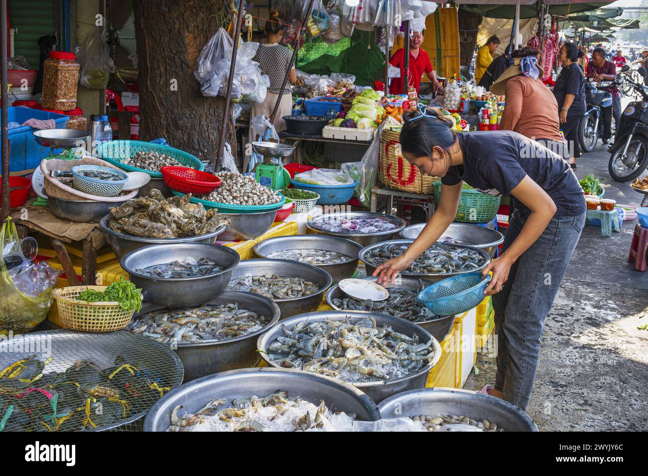 Cambogia, Phnom Penh, distretto di Doun Penh, mercato di Kandal Foto Stock