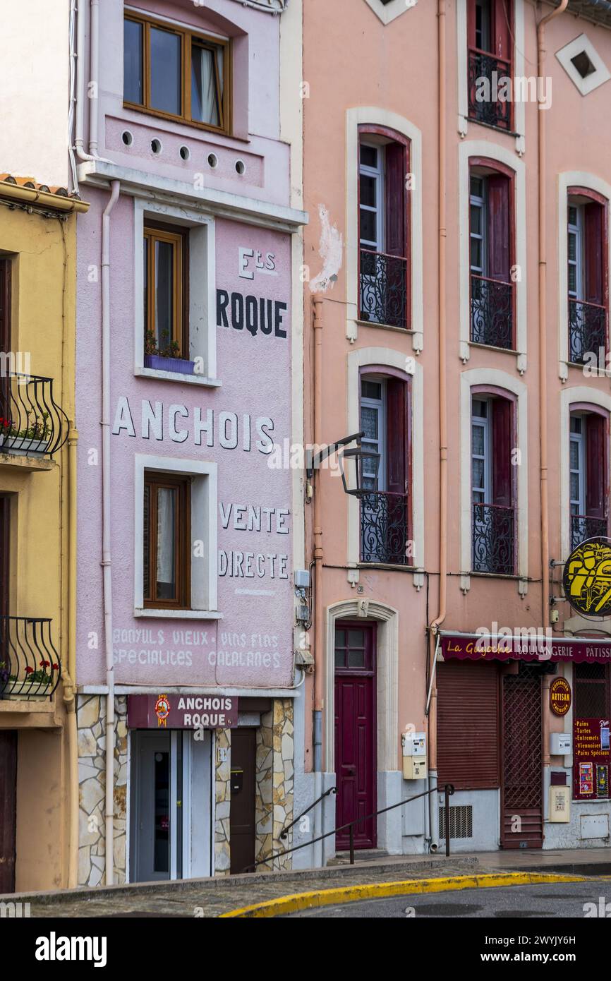 Francia, Pyrénées-Orientales, Côte Vermeille, Collioure, facciata di stabilimenti Roques specializzati nella salatura delle acciughe Foto Stock