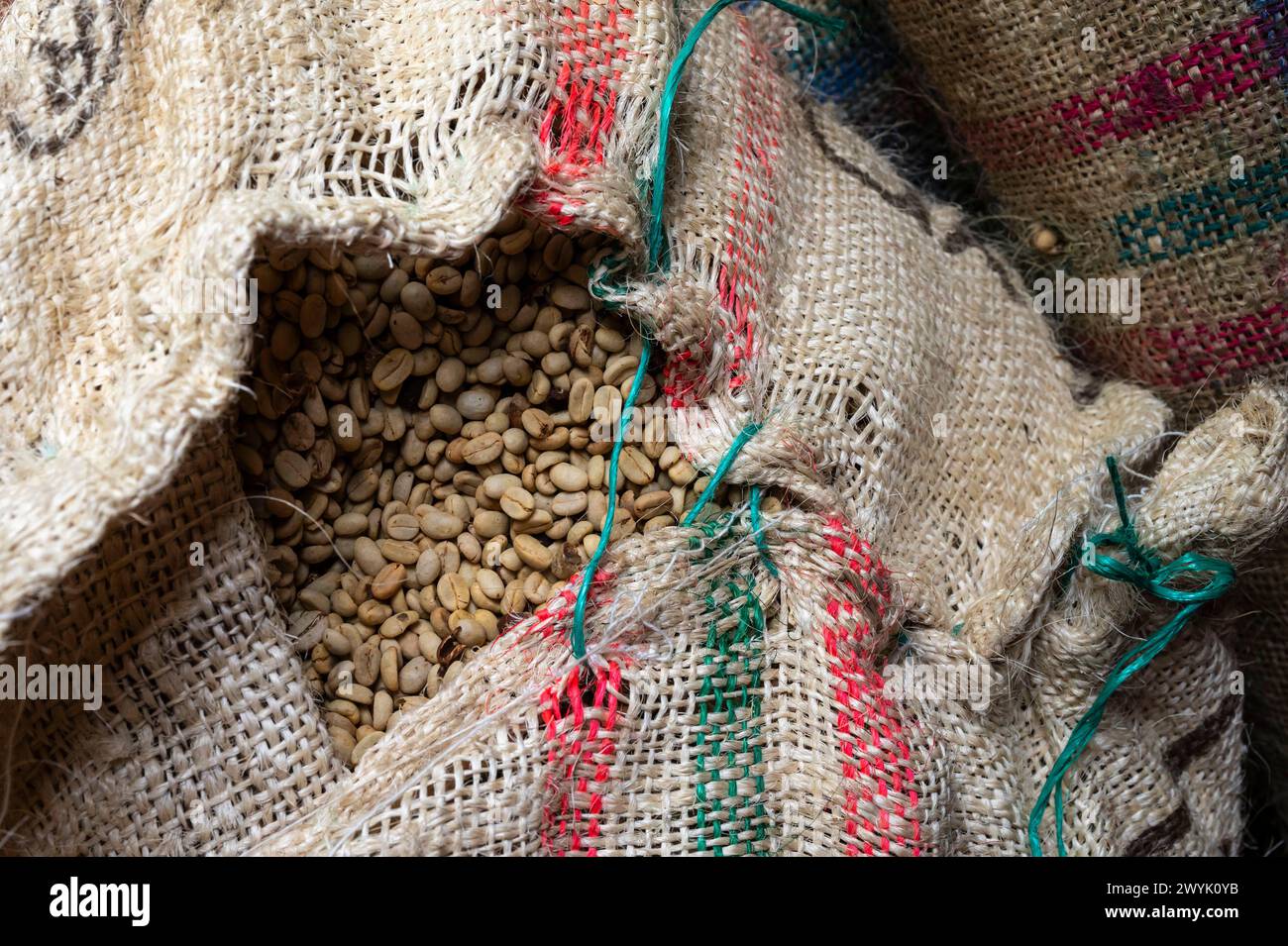 Colombia, distretto di Quindio, ereira,Dosquebradas, Risaralda , Finca Don Manolo, degustazione di caffè, semi di caffè per l'esportazione Foto Stock