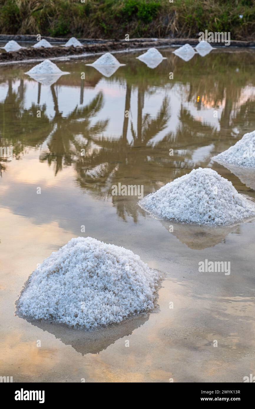 Cambogia, provincia di Kampot, Kampot, Traeuy Kaoh o Isola dei pesci, paludi saline Foto Stock