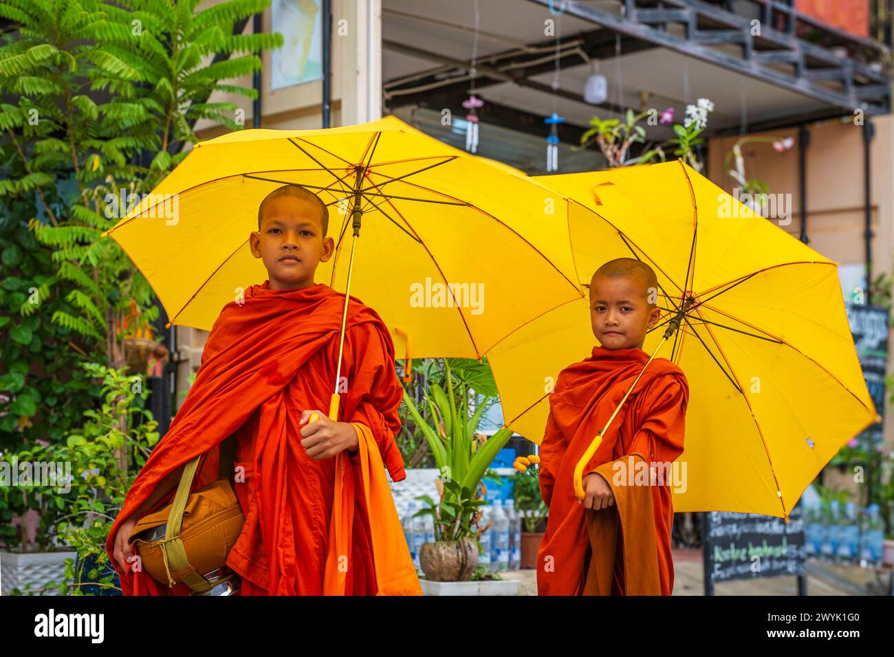 Cambogia, provincia di Kampot, Kampot, giovani monaci buddisti che ricevono l'elemosina dai fedeli ogni mattina Foto Stock