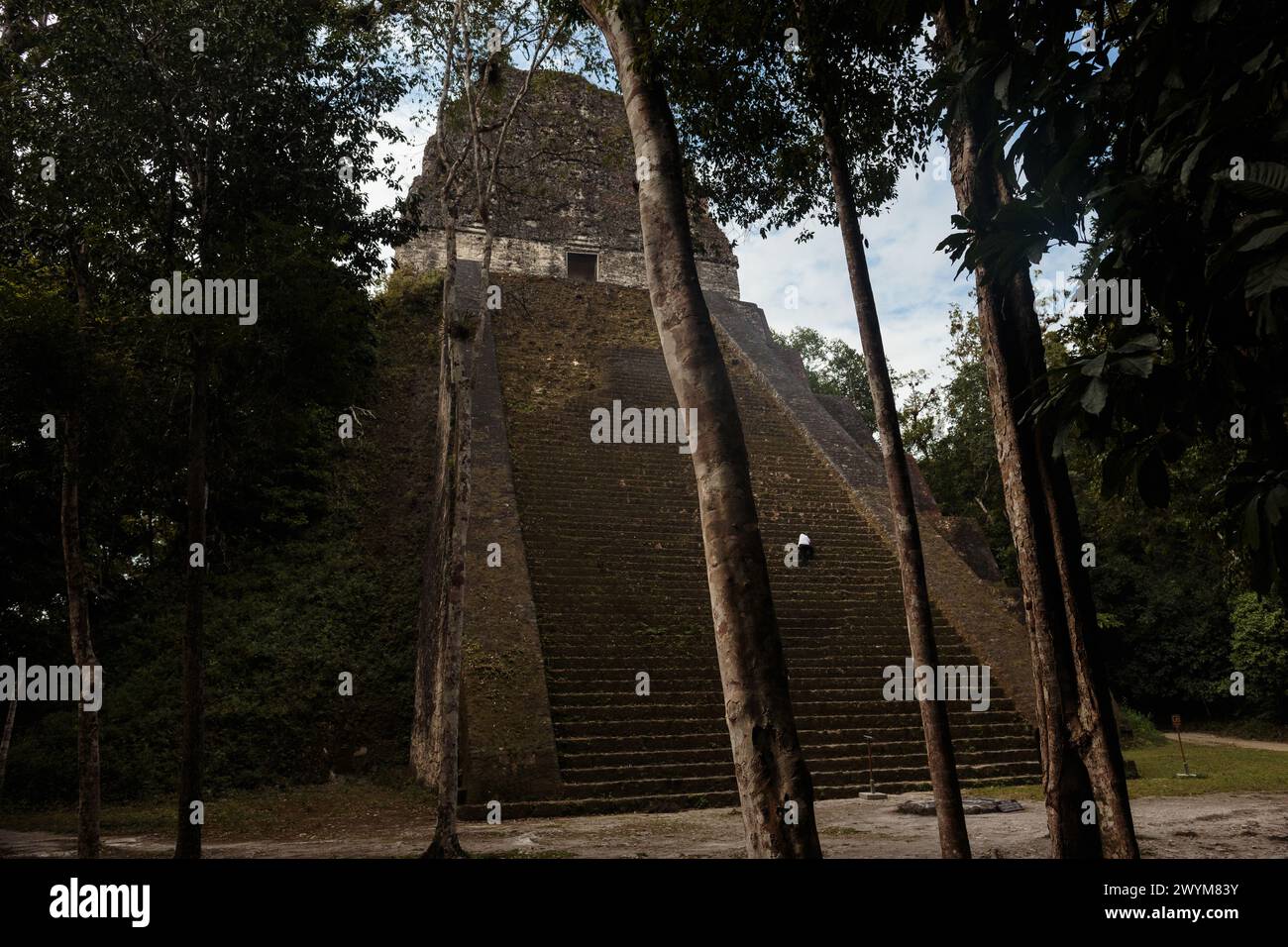 Piramidi e rovine nella città maya di Tikal nella giungla del nord del Guatemala nel distretto di Peten. Una popolare attrazione turistica e storica Foto Stock