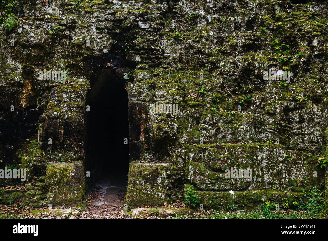 Un passaggio oscuro nella Plaza dei sette Templi; parte del Mundo Perdido, o sezione del mondo perduto delle antiche rovine Maya a Tikal, Guatemala Foto Stock