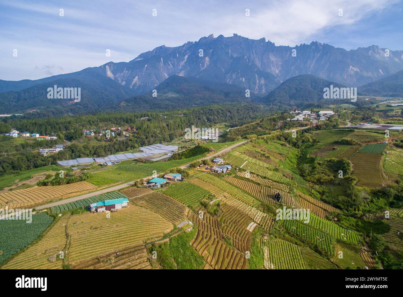 Vista aerea di Kundasang Sabah paesaggio con cavolo farm e il Monte Kinabalu a sfondo lontano durante la mattina. Foto Stock