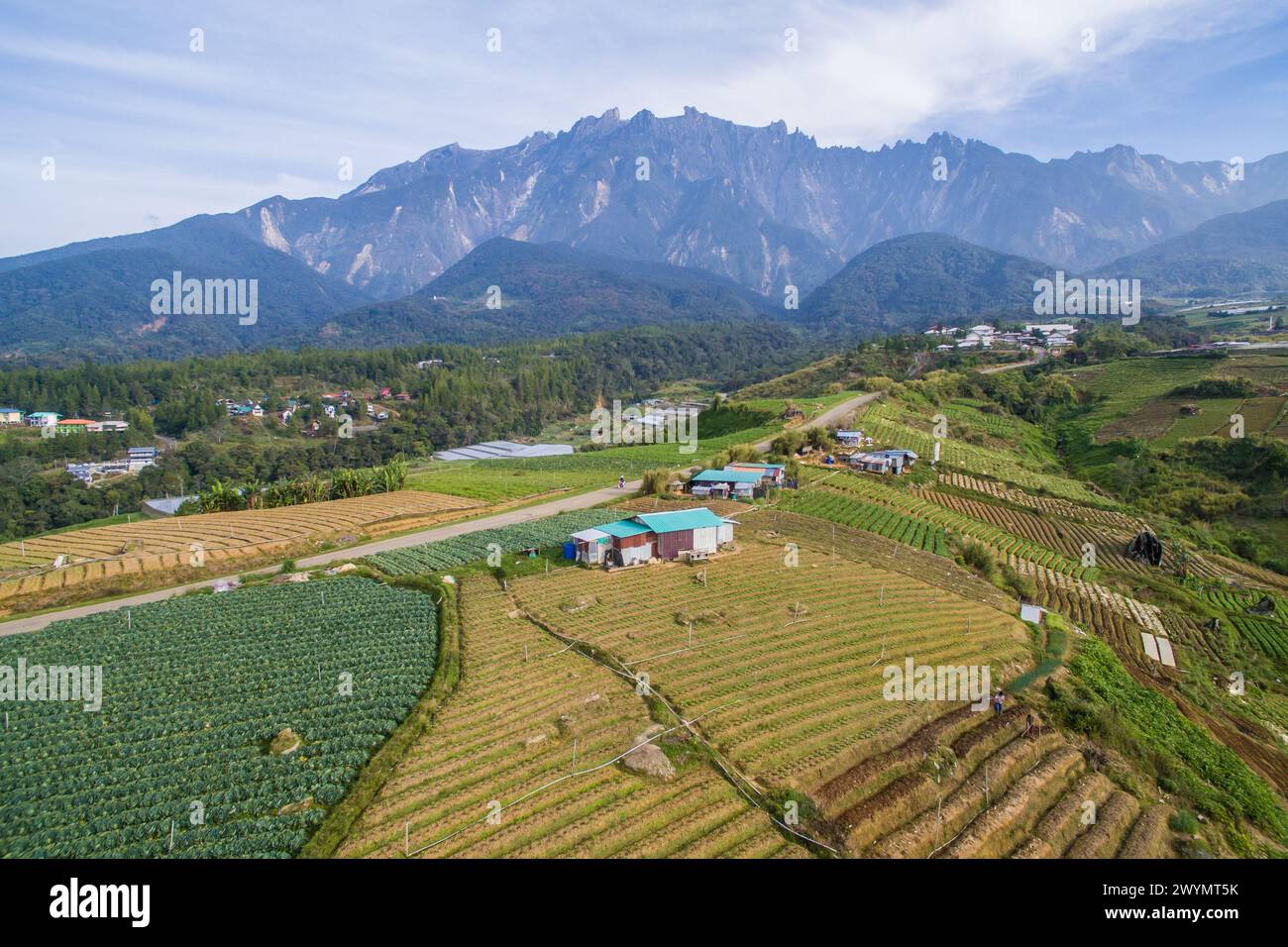 Vista aerea di Kundasang Sabah paesaggio con cavolo farm e il Monte Kinabalu a sfondo lontano durante la mattina. Foto Stock