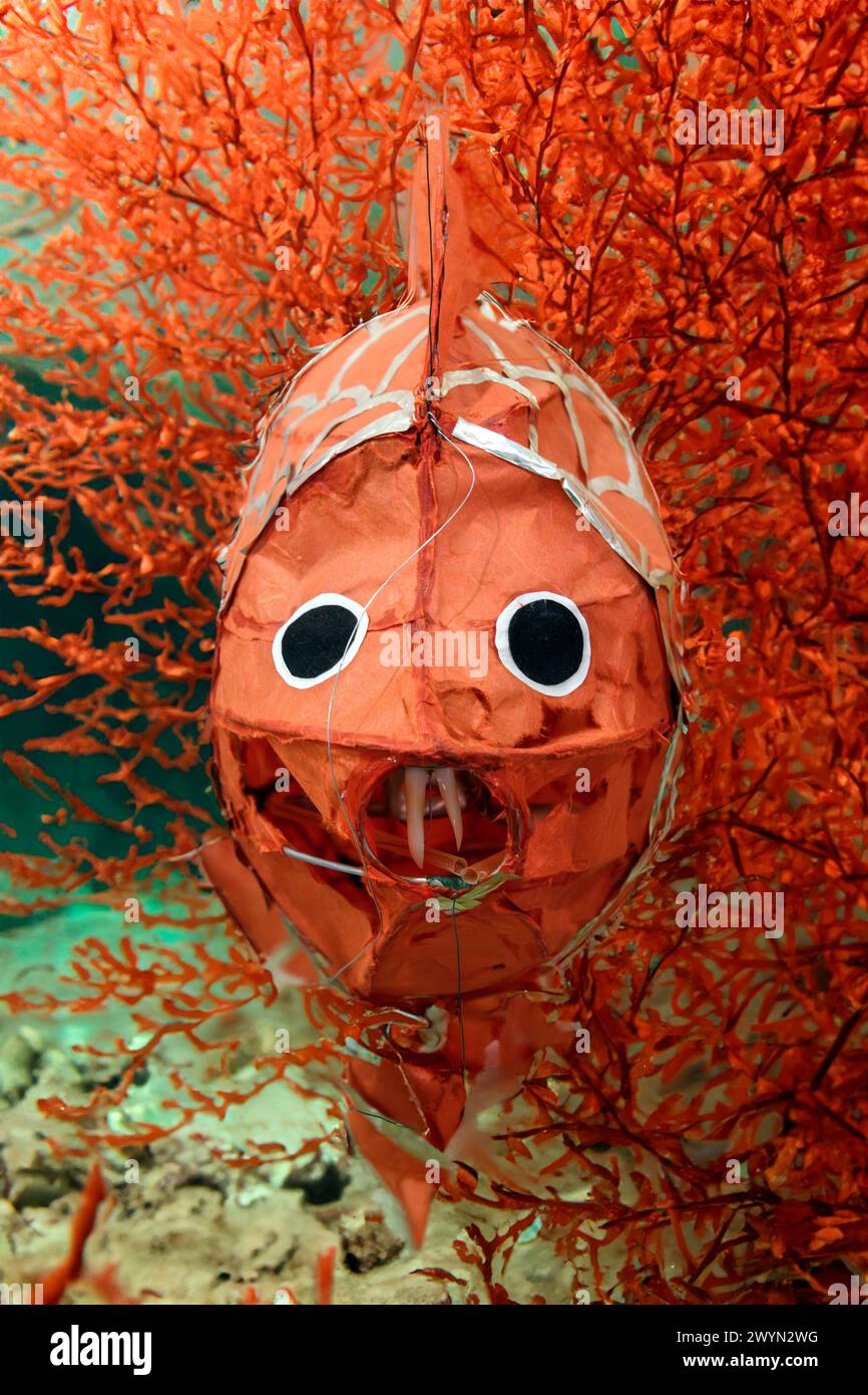 Il modello di carta arancione pesca in un'impostazione della barriera corallina Foto Stock