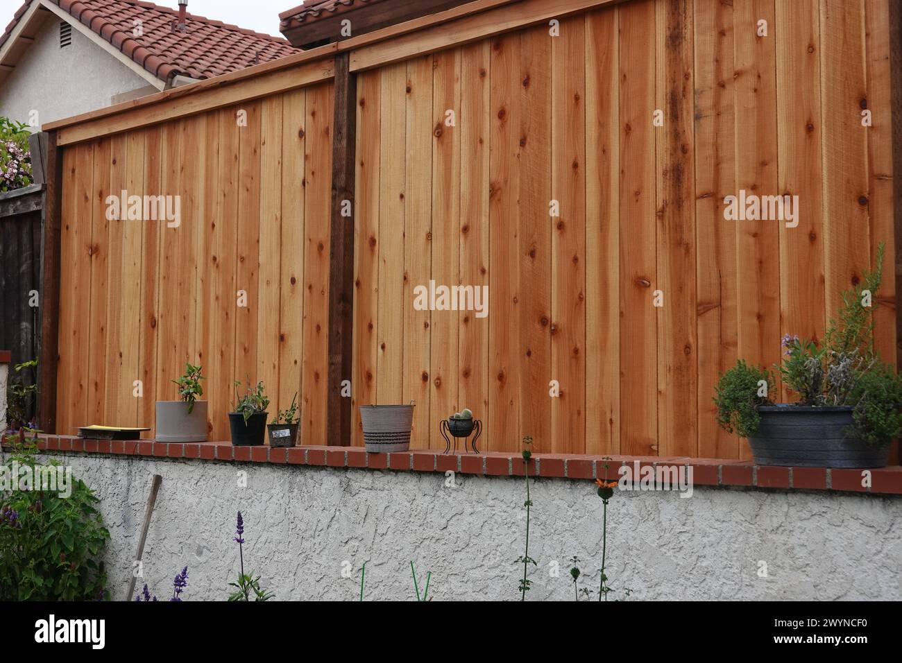 Recinzione del giardino di sequoie Foto Stock