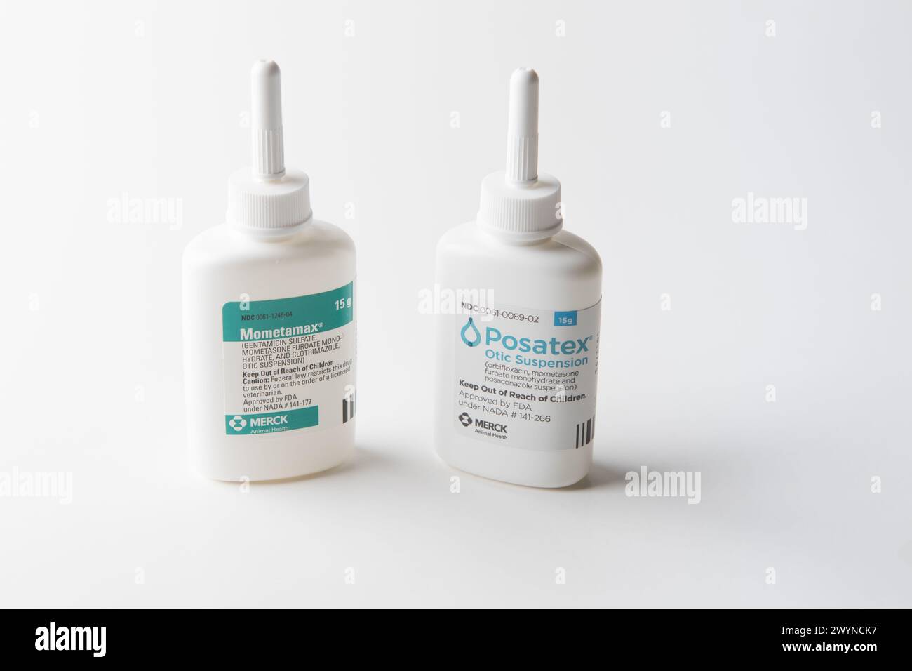 mometamax e posatex prescrizione trattamento di otite esterna nei cani per lieviti e batteri problemi fotografia Foto Stock