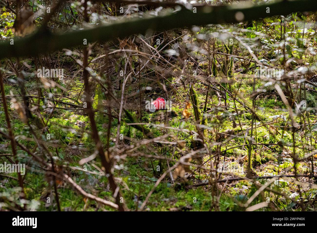 Spazzatura nella foresta con fogliame verde e tronchi di alberi. Inquinamento ambientale Foto Stock