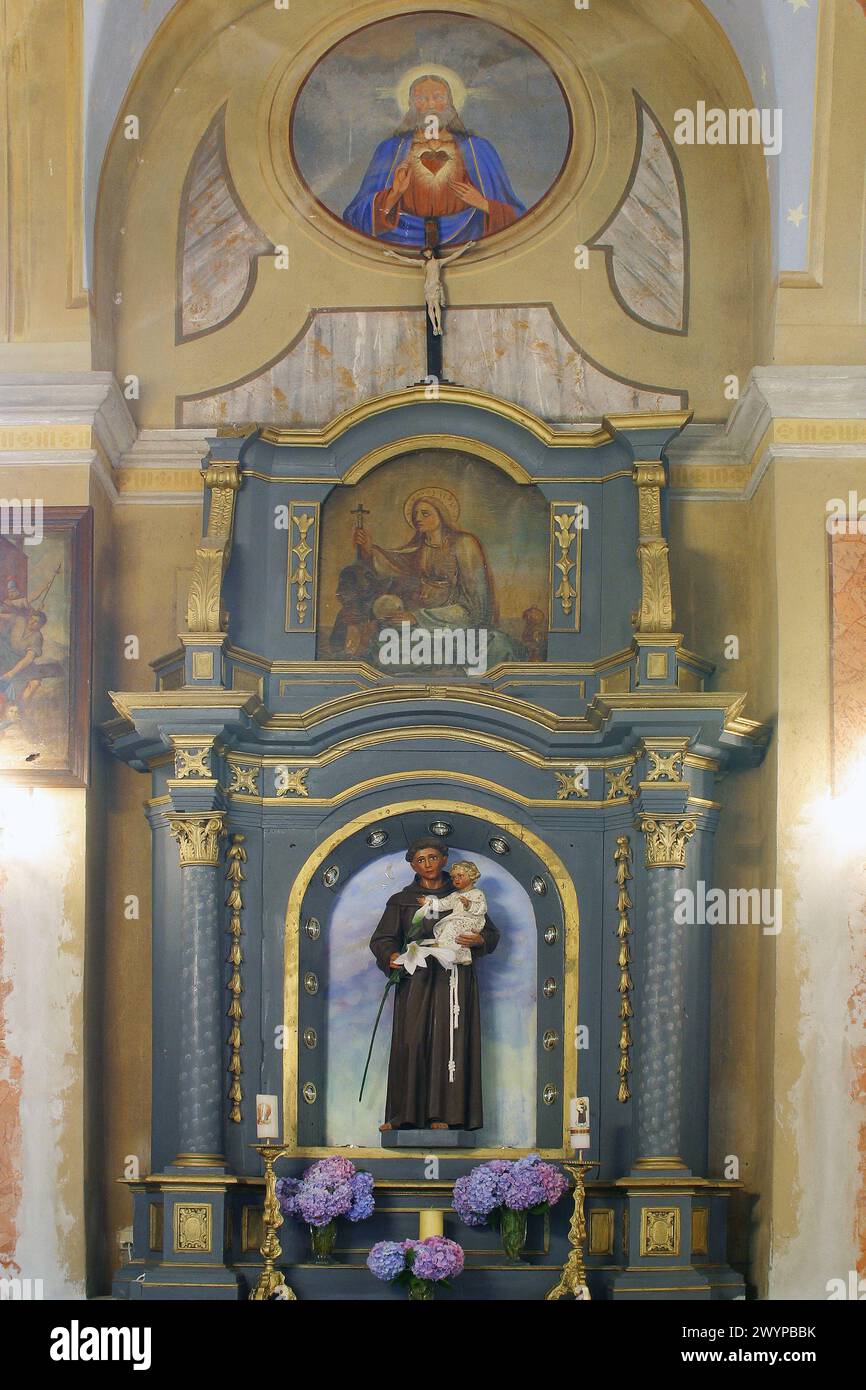 Sant'Antonio da Padova altare nella Chiesa di San Nicola a Bistra, Croazia Foto Stock
