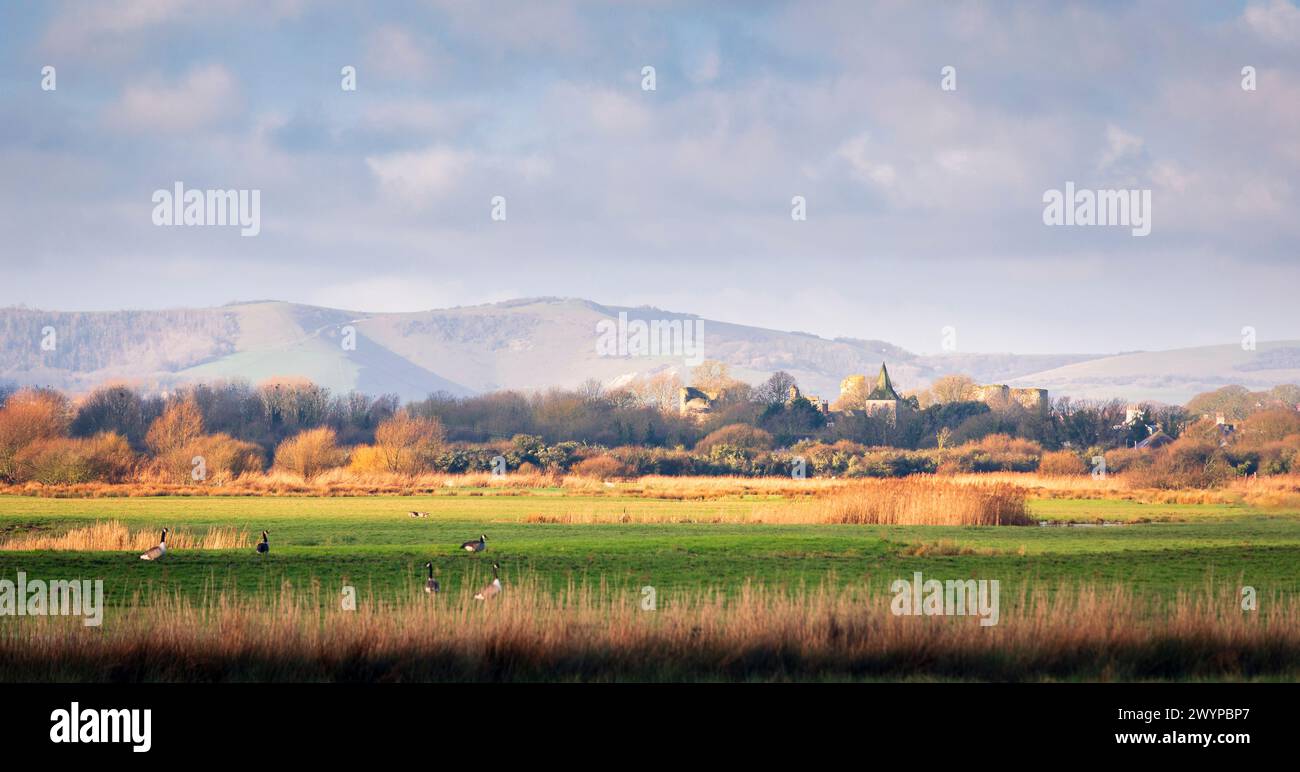 Ammira a ovest di Pevensey e il castello con i bassifondi meridionali che si innalzano alle spalle nel Sussex orientale, Inghilterra sud-orientale, Regno Unito Foto Stock