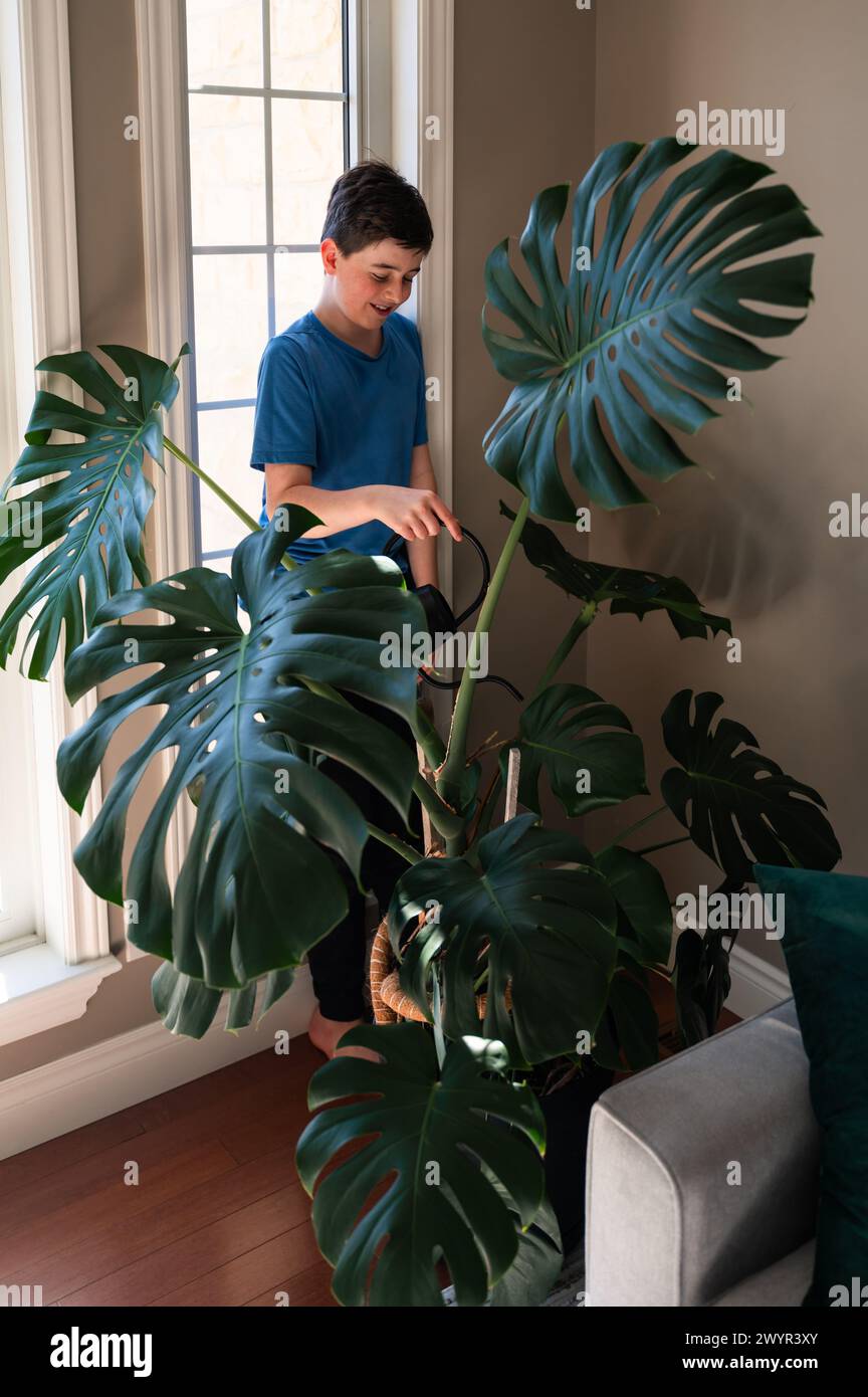 Ragazzo felice che innaffia una grande pianta di monstera nel soggiorno di casa. Foto Stock