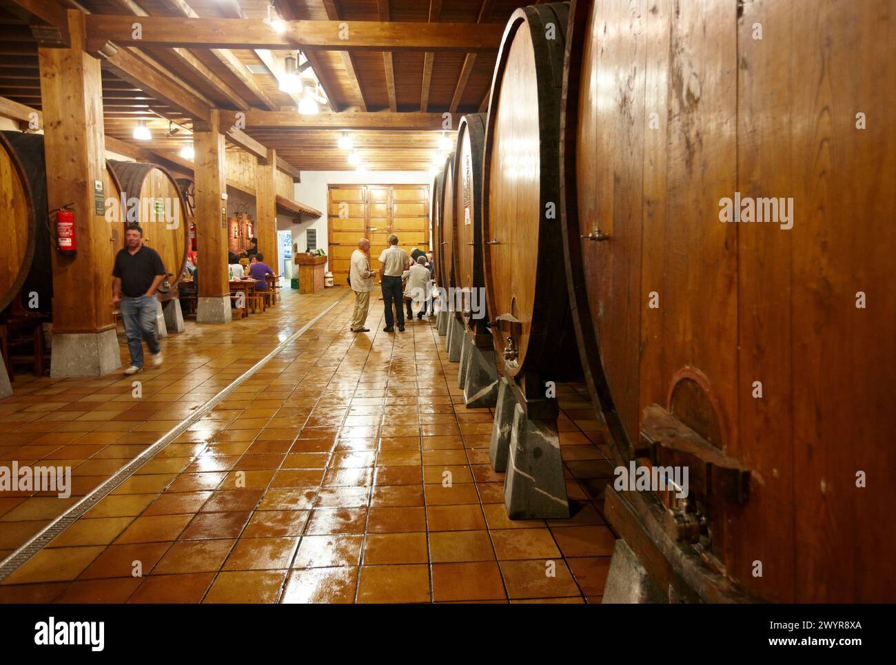 Casa del sidro, Aduna, Gipuzkoa, Euskadi, Spagna. Foto Stock