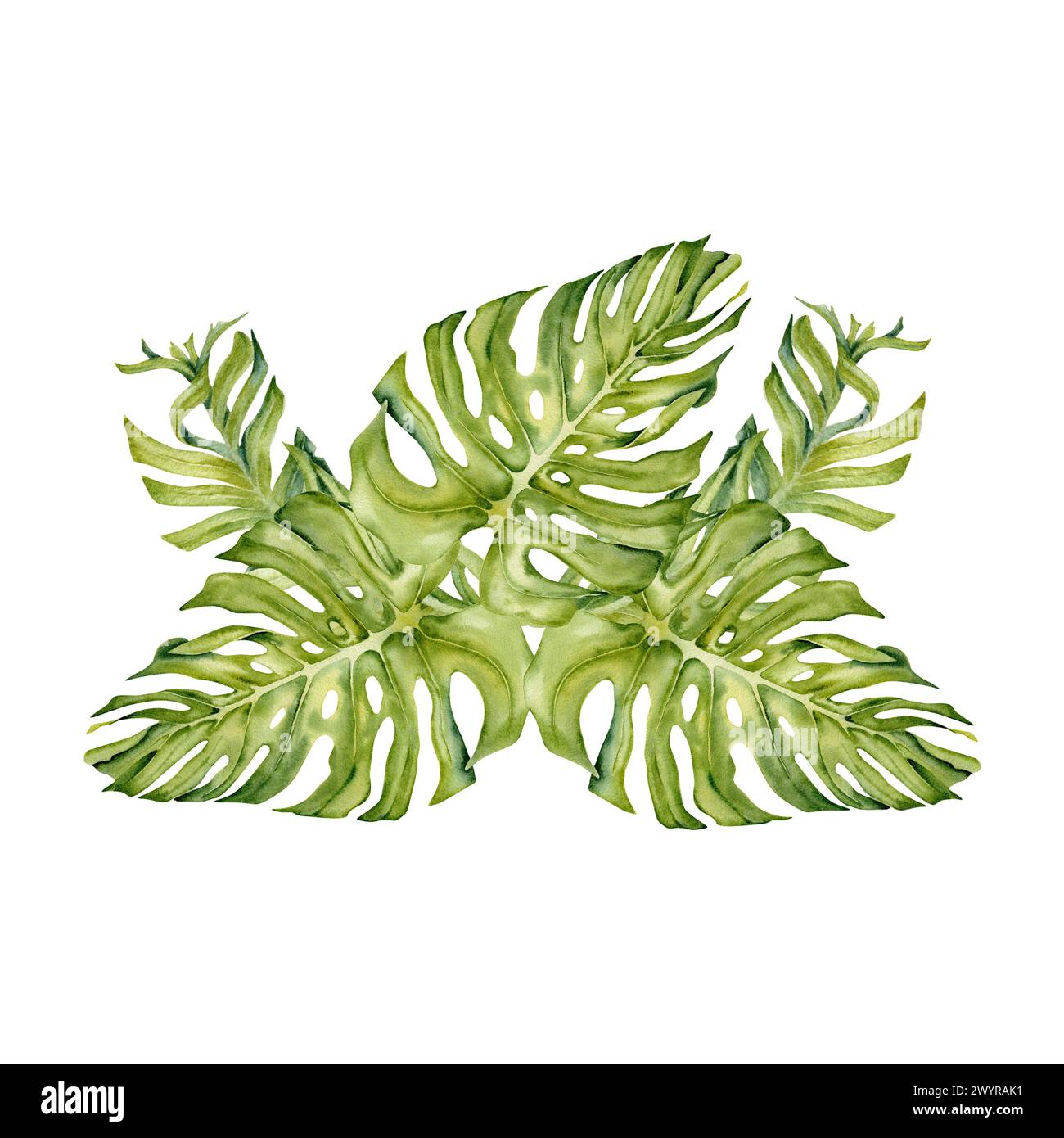 Composizione di foglie tropicali di banana e limone con monstera e rami di palma. Illustrazione acquerello isolata su sfondo bianco. Foglie esotiche Foto Stock