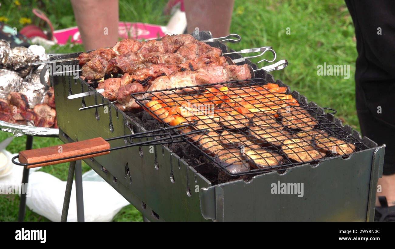 Wochende am Schloßteich 07.04.2024, Chemnitz, Schloßteich, am warmen Wochende nutzten viele Chemnitzer das Schloßteichgelände zum Ausflug . 25 Grad und trockenes Wetter luden zum Grillen, Rudern oder Spaziergang ein. Chemnitz Sachsen BRD *** Weekend al Schloßteich 07 04 2024, Chemnitz, Schloßteich, durante un fine settimana caldo molte persone di Chemnitz hanno utilizzato la zona di Schloßteich per un'escursione a 25 gradi e tempo secco invitate a barbecue, canottaggio o passeggiate Chemnitz Sassonia BRD Foto Stock