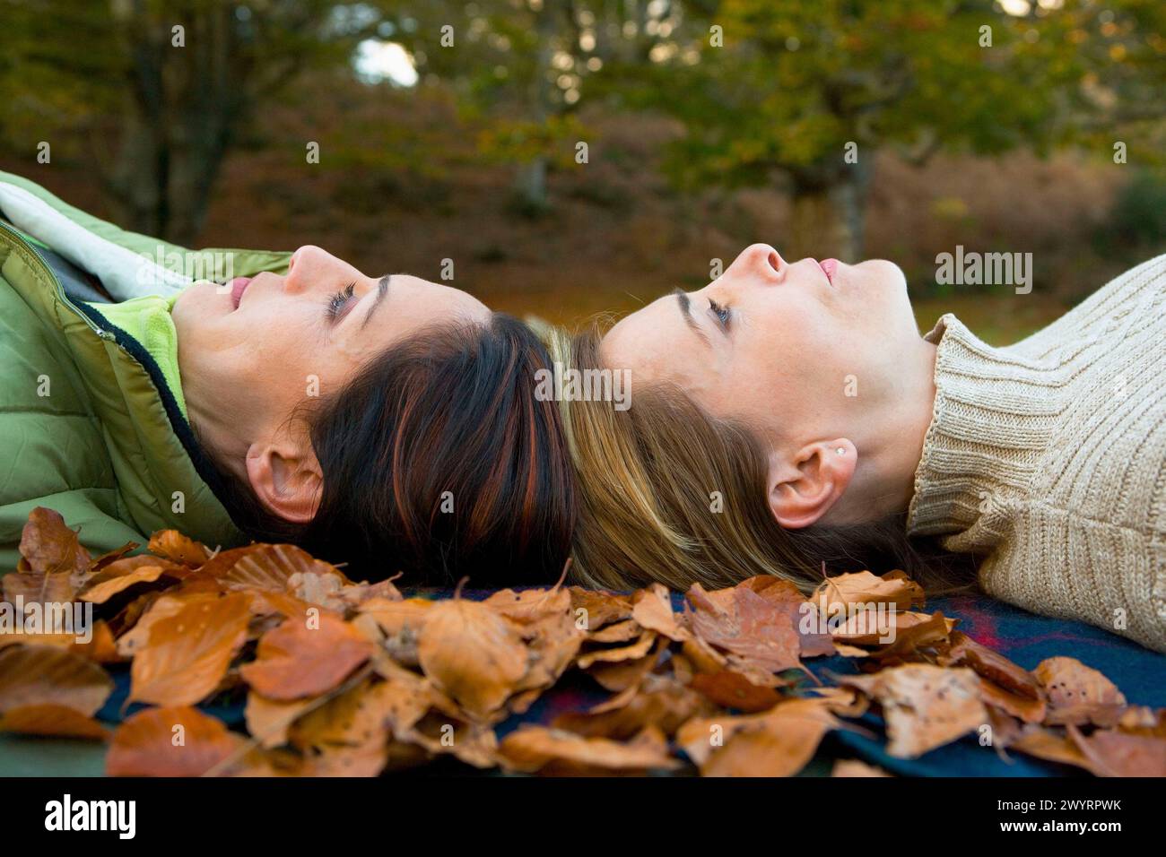 Stili di vita. Foto Stock